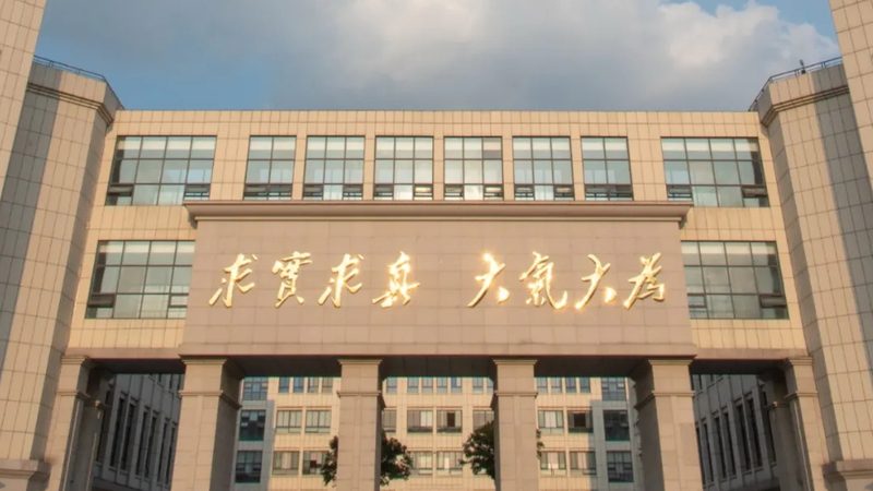成都电子模块与芯片市场的差异解析