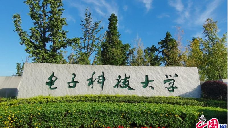 SMT工艺在电子加工中的关键作用与优势解析